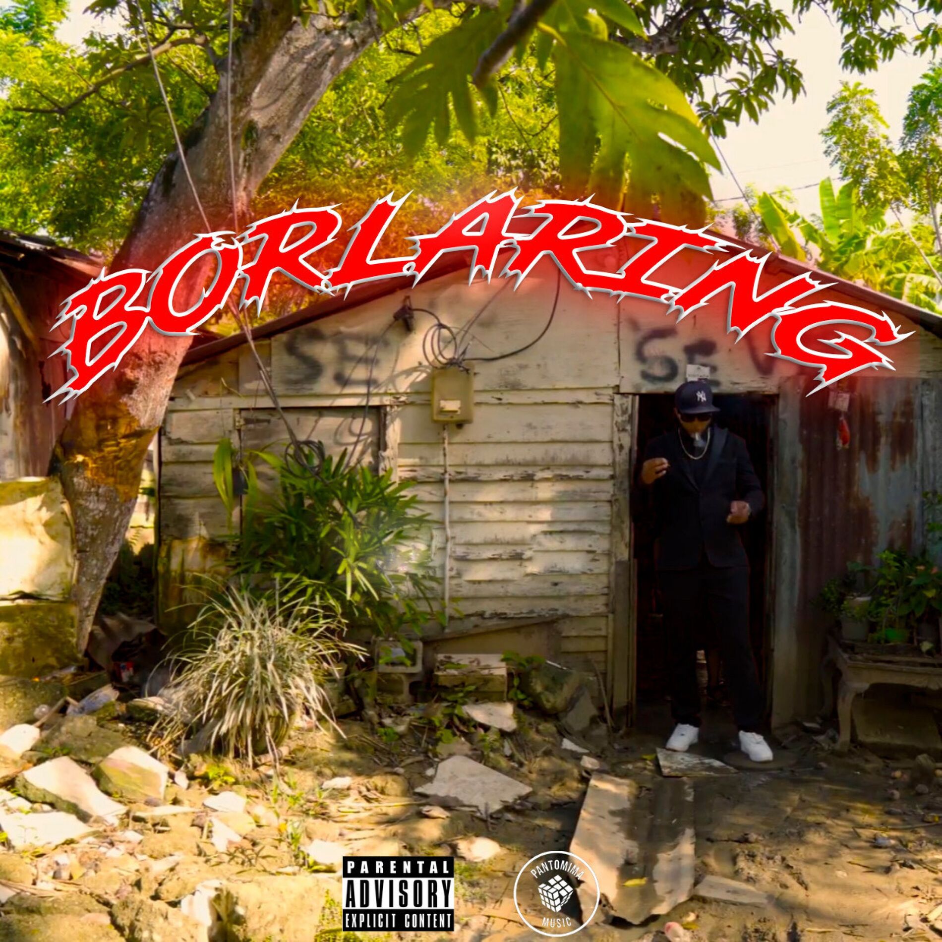 Album cover of Borlaring