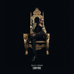 Cover of Control