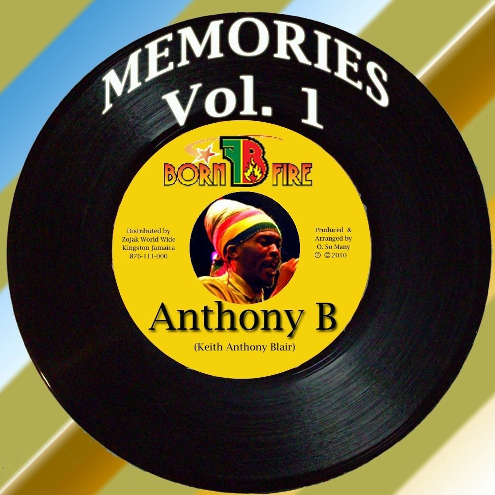 Picture of Memories Vol. 1