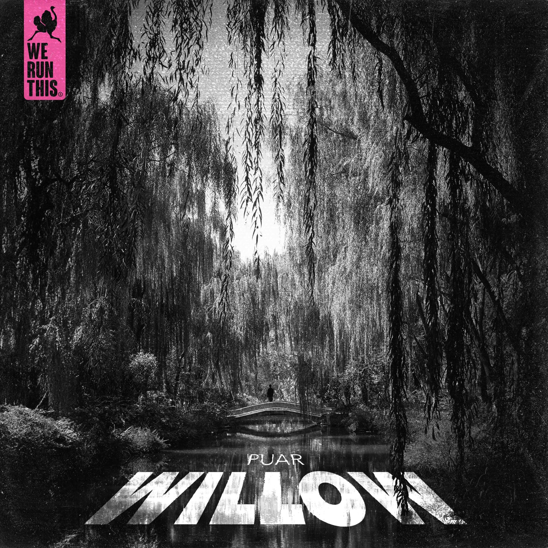 Album cover of Willow