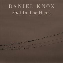 Fool In The Heart
