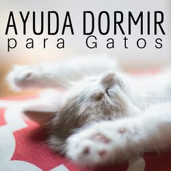 Cover of Ayuda Dormir para Gatos - Canciones para Sueño de Mascotas