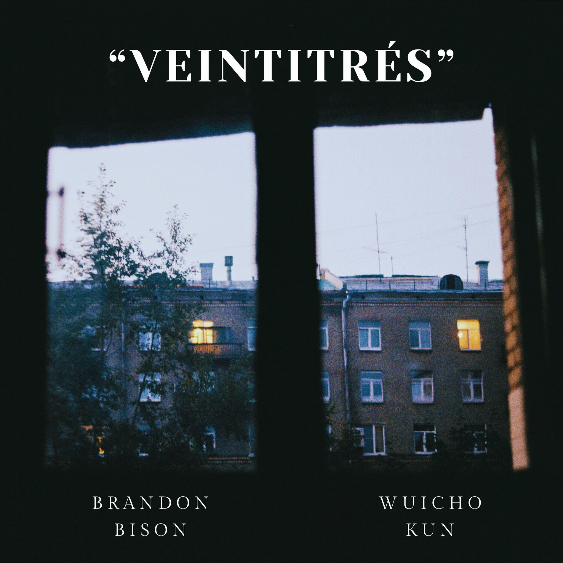 Album cover of Veintitrés