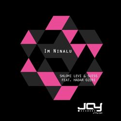 Cover of Im Ninalu