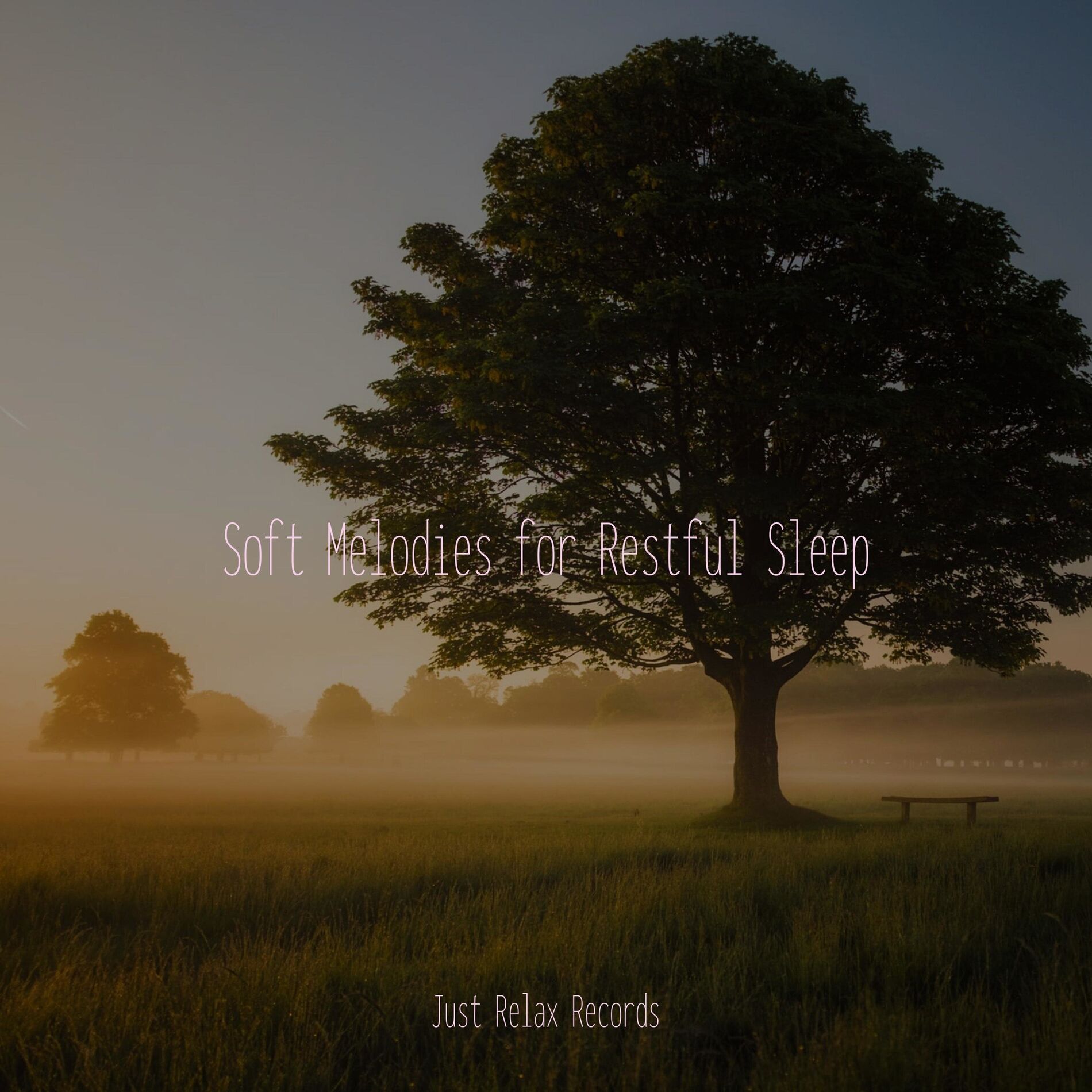 Album cover of Soft Melodies for Restful Sleep