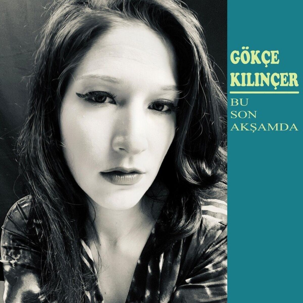 Album cover of Bu Son Akşamda