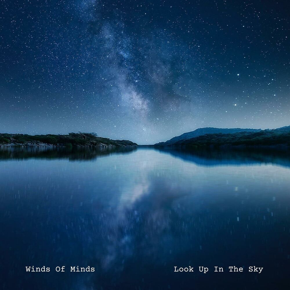 Picture of Look Up in the Sky