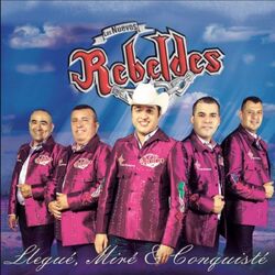 Cover of Llegue, mire & conquiste
