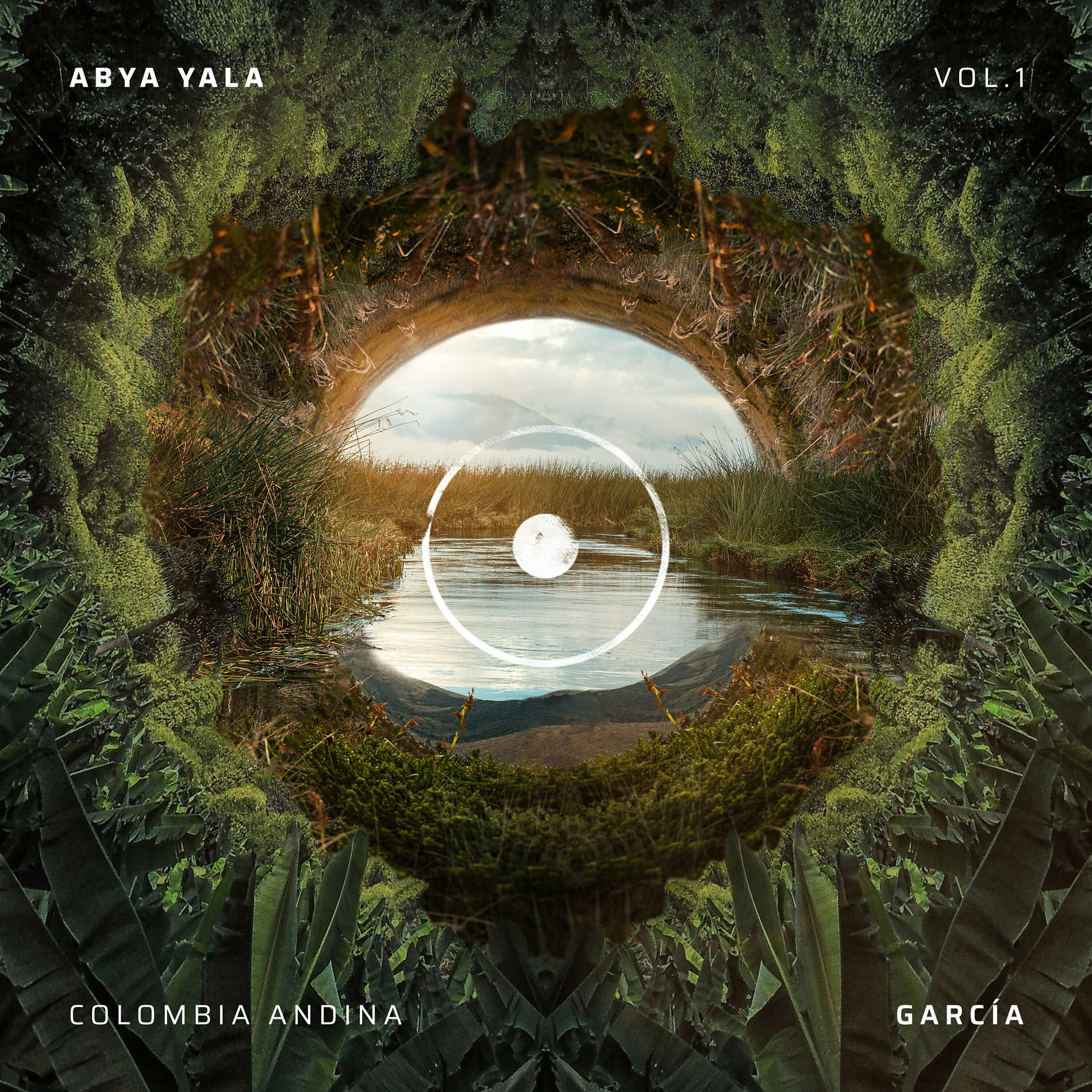 Album cover of Abya Yala Vol. 1 - Colombia Andina