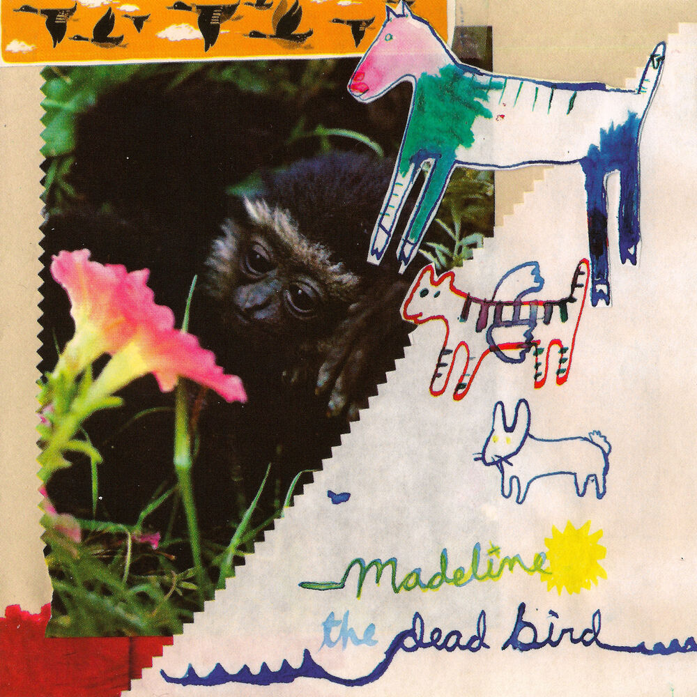 Picture of The Dead Bird Split