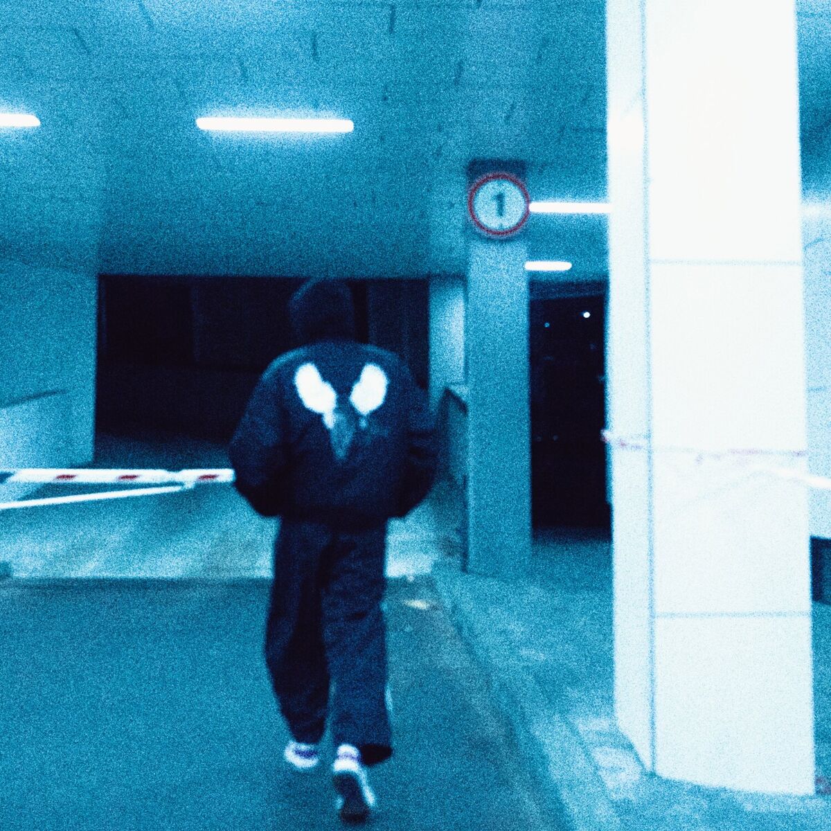 Album cover of В серці і на спині
