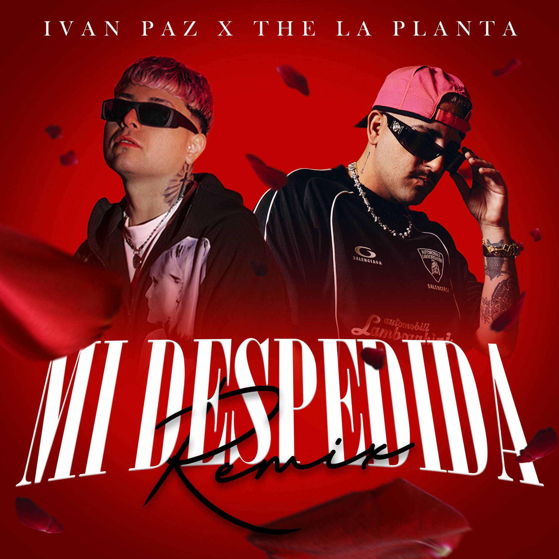 Album cover of Mi Despedida (Remix)