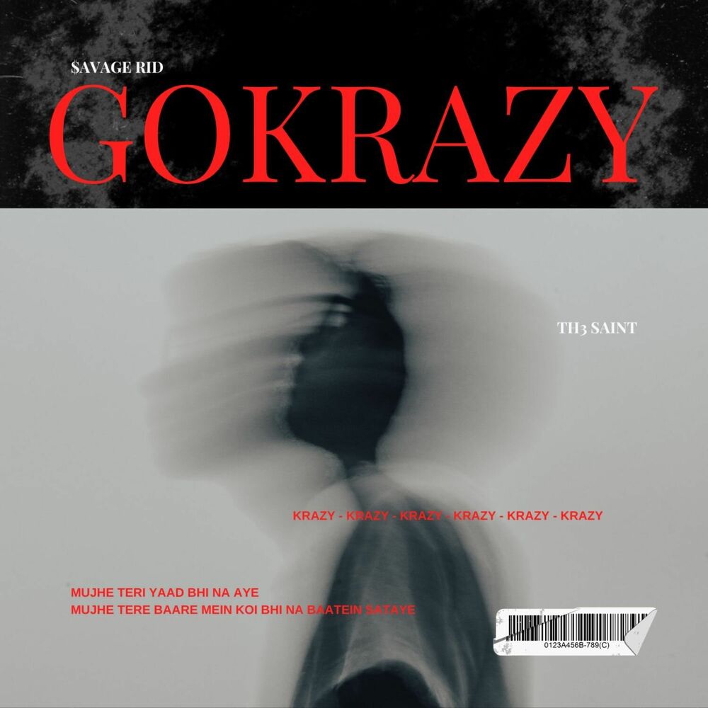 Picture of Gokrazy