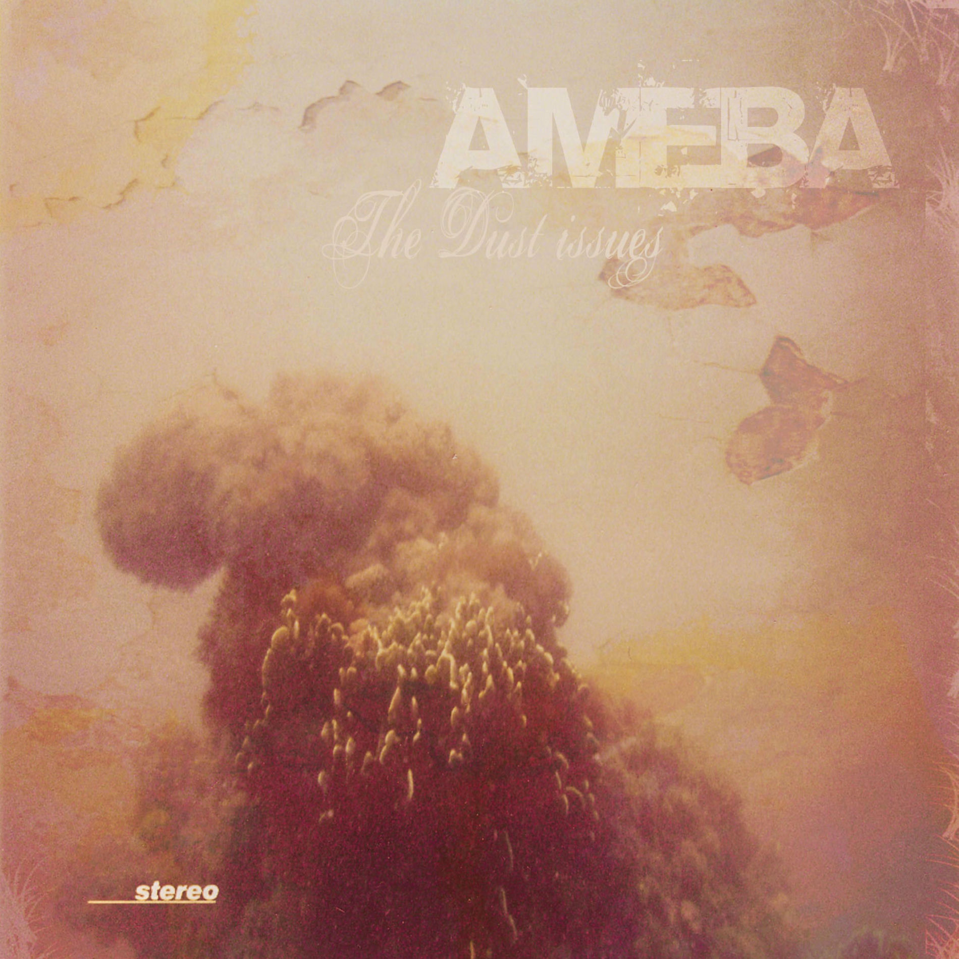 Album cover of The dust issues