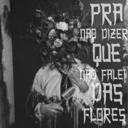 Cover of Pra Não Dizer Que Não Falei das Flores