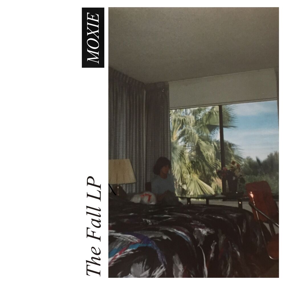 Picture of The Fall LP