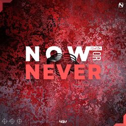 Cover of Now or Never