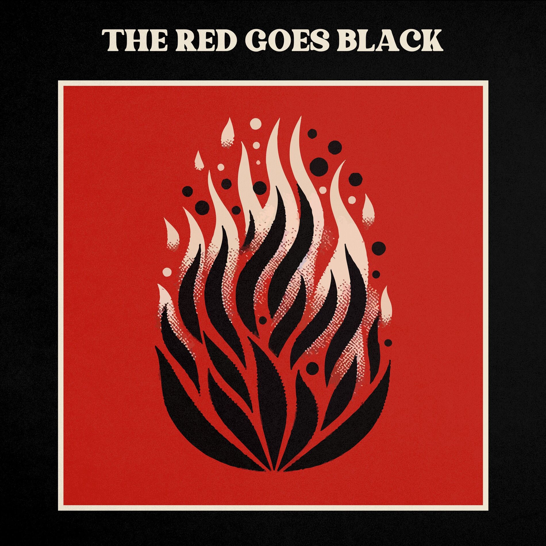 Album cover of Pyro & Fireman