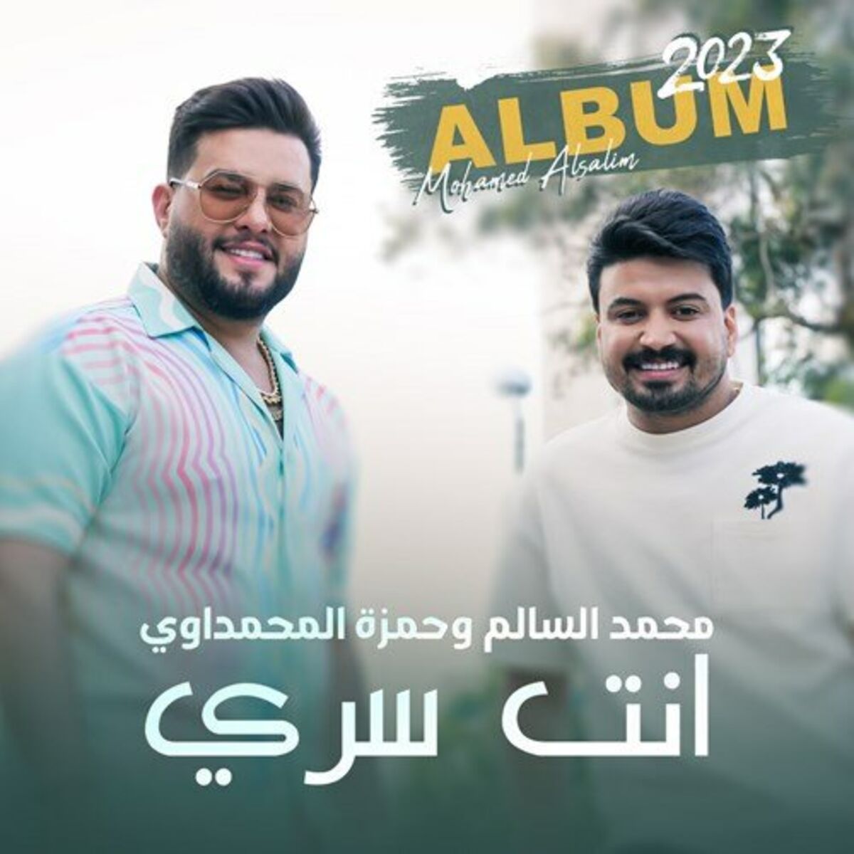 Album cover of انت سري