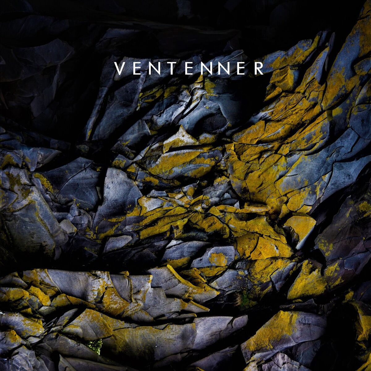 Album cover of Versions