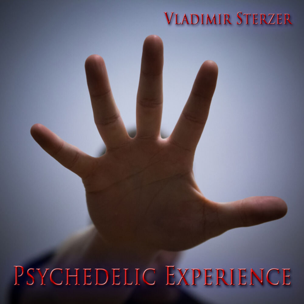Picture of Psychedelic Experience