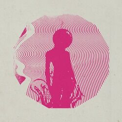 Cover of After the Disco