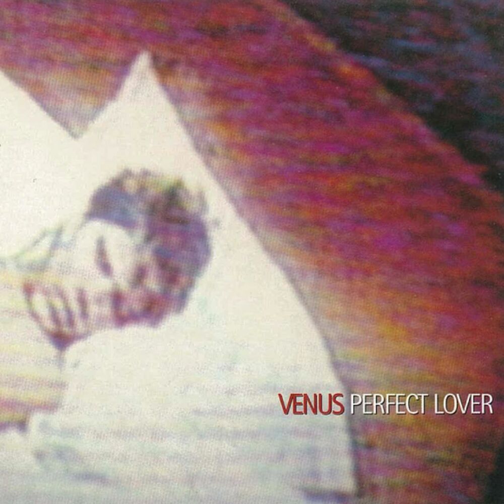 Picture of Perfect Lover