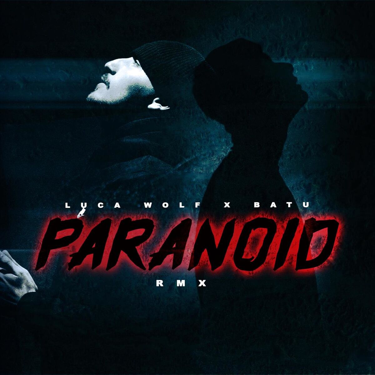Album cover of Paranoid (Erk Gotti Remix)