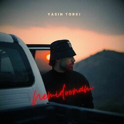 Cover of Nemidoonam