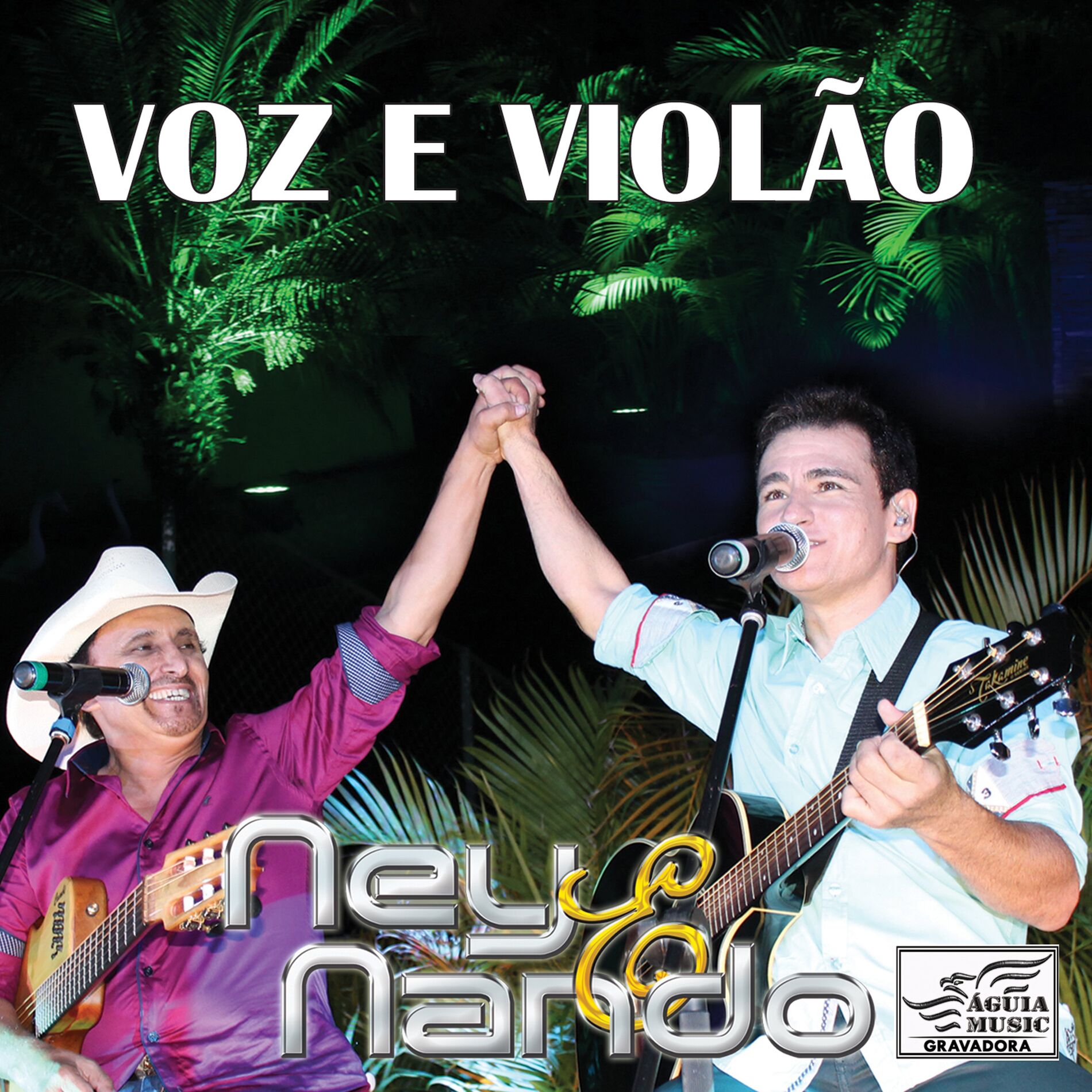 Album cover of Voz e Violão