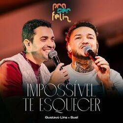 Cover of Impossível Te Esquecer (Ao Vivo)