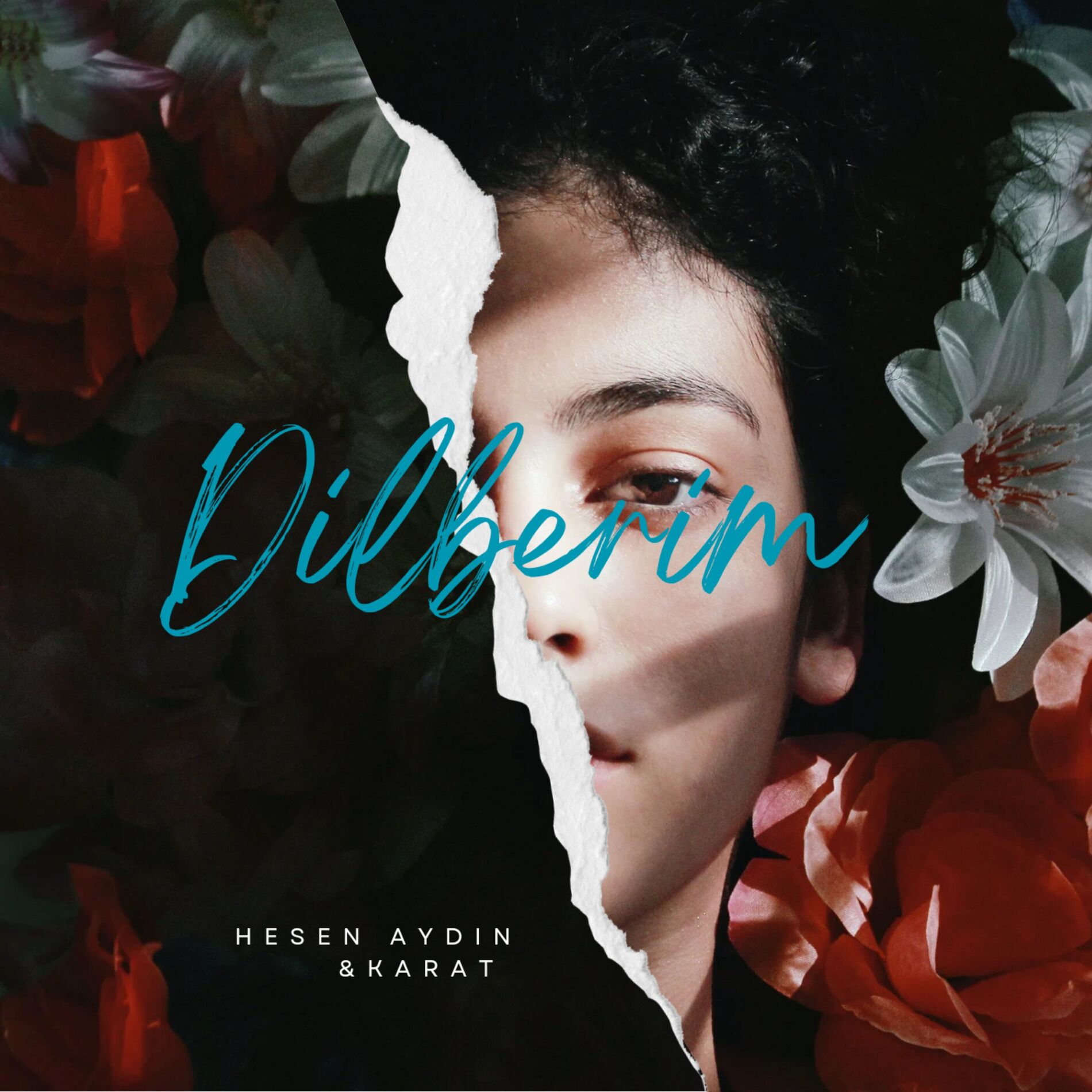 Album cover of Dilberim