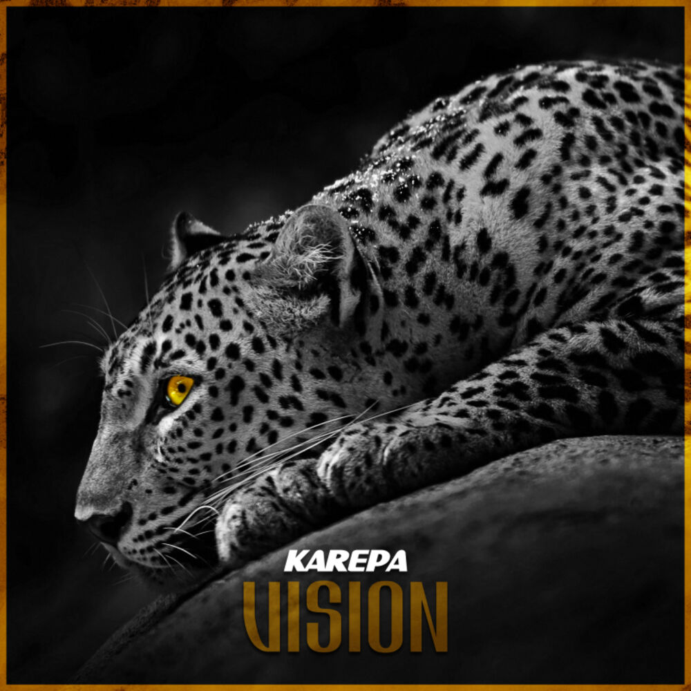 Picture of Vision