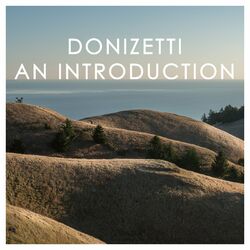 Cover of Donizetti: An Introduction