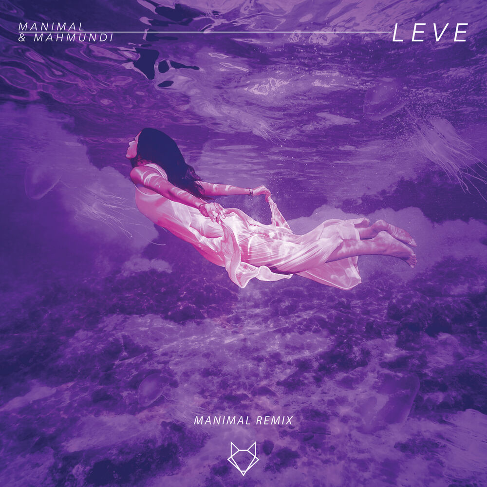 Picture of Leve (Manimal Remix)