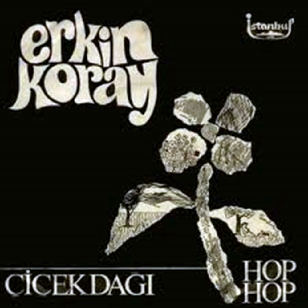 Picture of Çiçek Dağı / Hop Hop (45'lik)