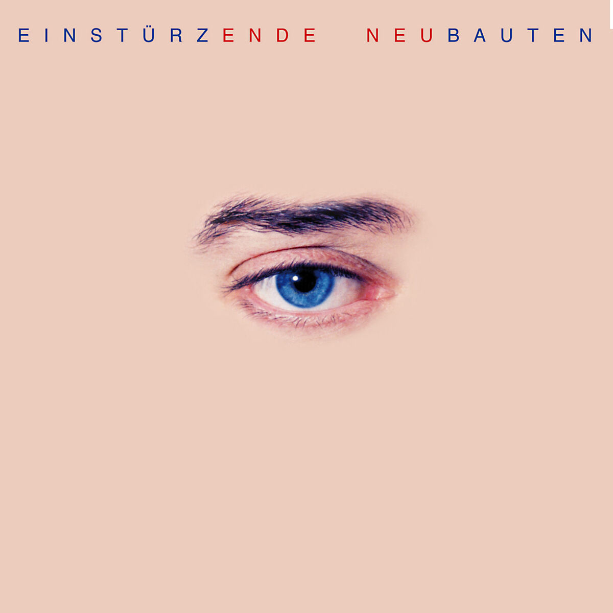 Album cover of The Garden