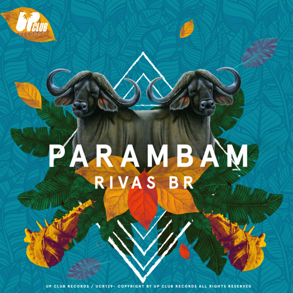 Picture of Parambam