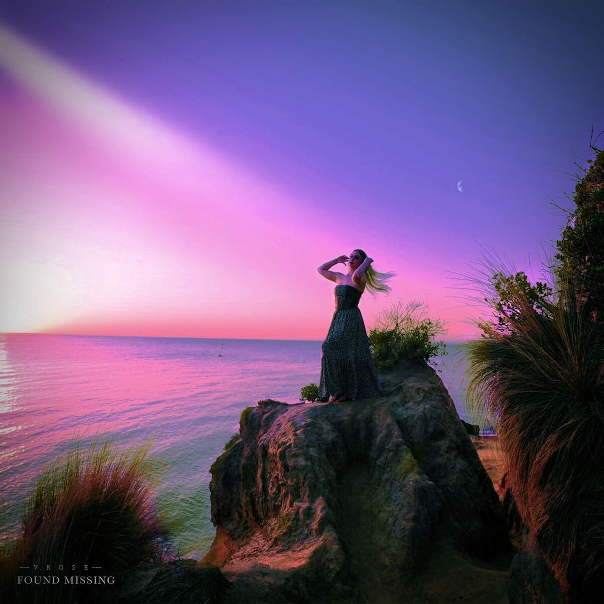 Album cover of Found Missing