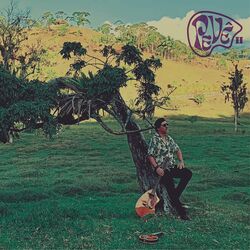 Cover of II
