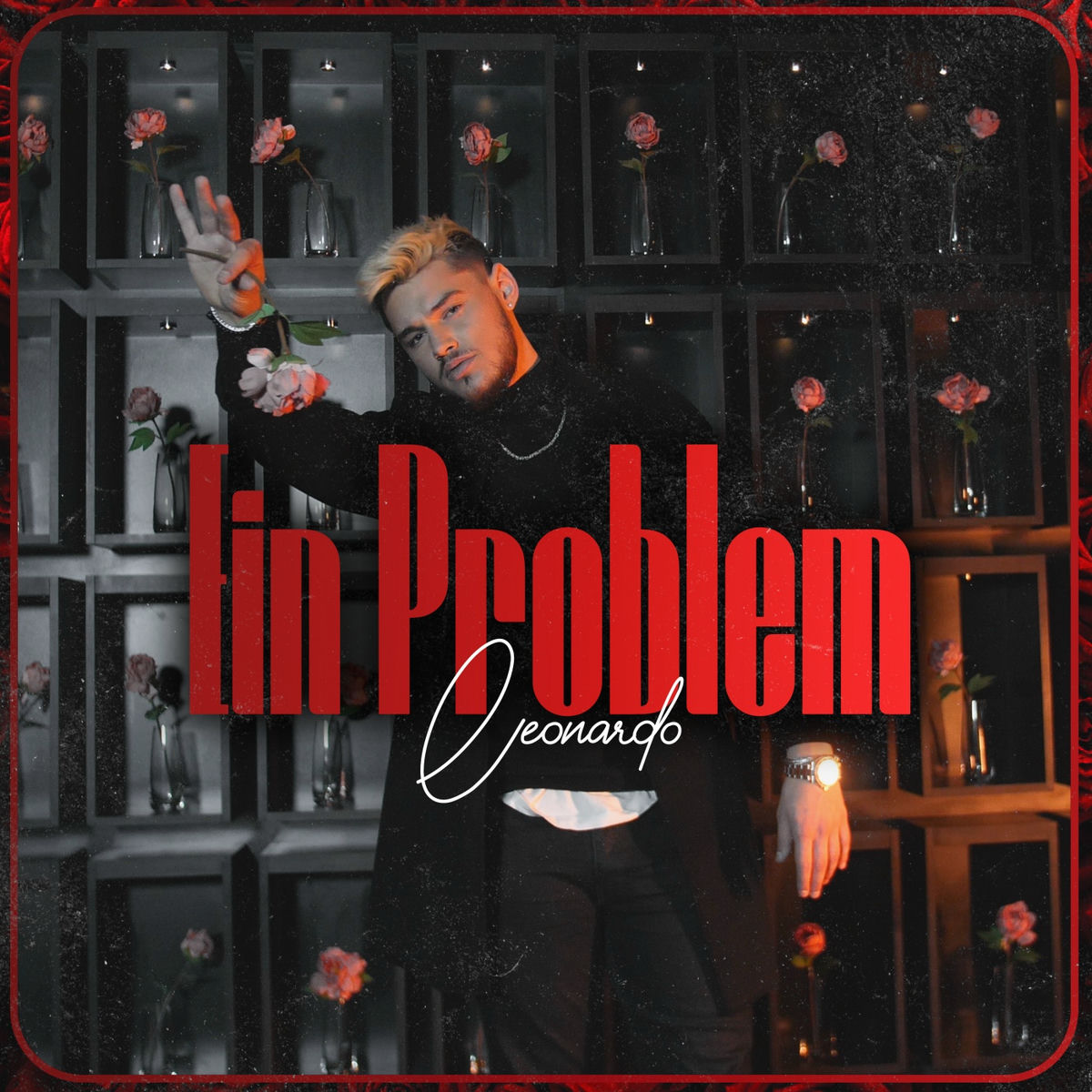 Album cover of Ein Problem
