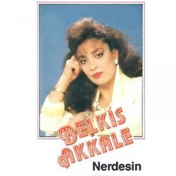 Cover of Nerdesin