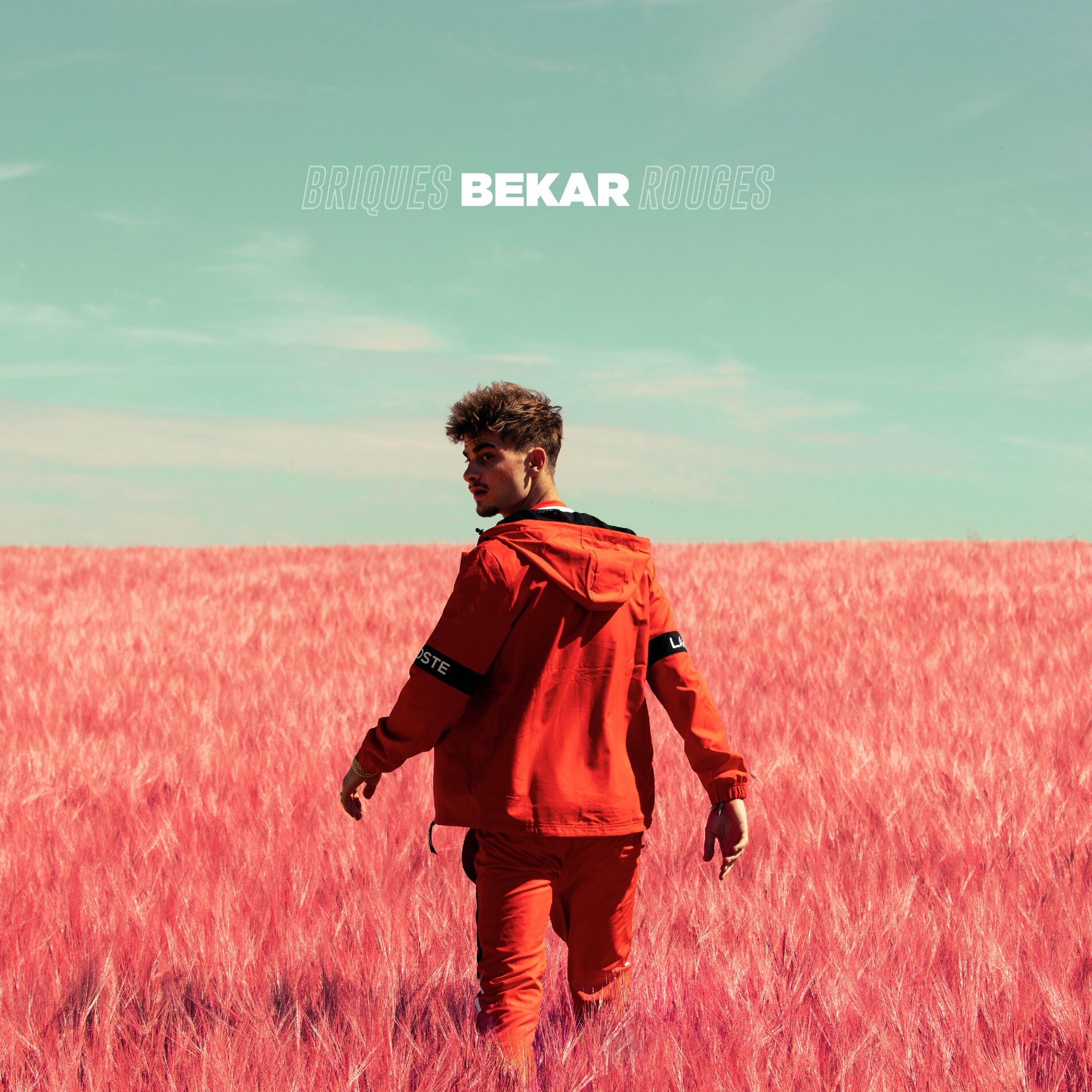 Album cover of Briques rouges