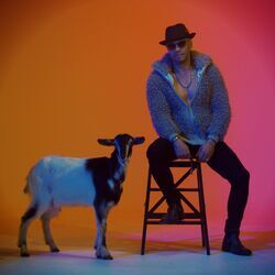 Cover of The GOAT