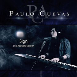 Cover of Sign (from "Naruto Shippuden") [Acoustic Version]