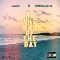 Cover of At The End Of The Day
