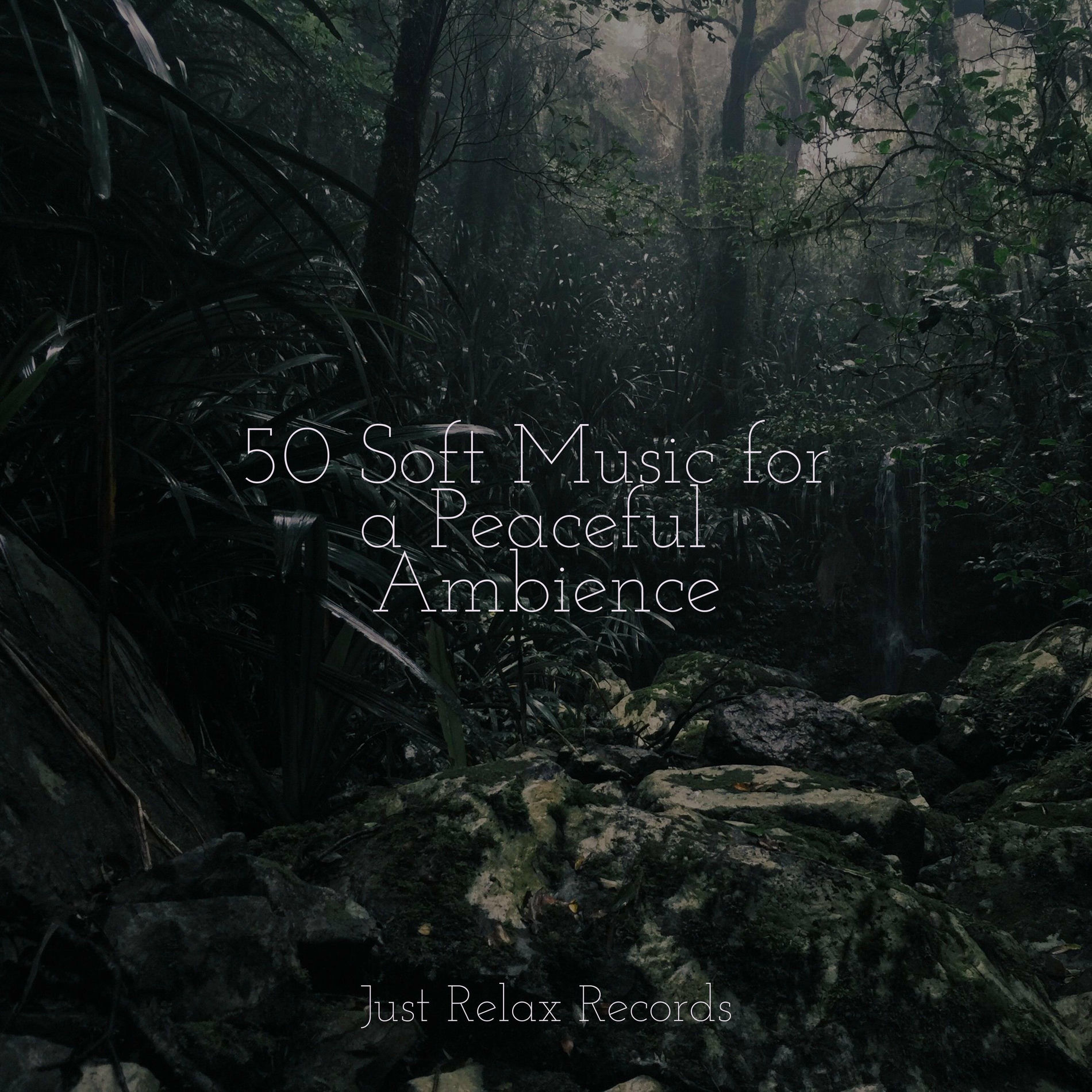 Album cover of 50 Soft Music for a Peaceful Ambience