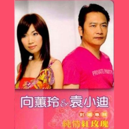純情紅玫瑰