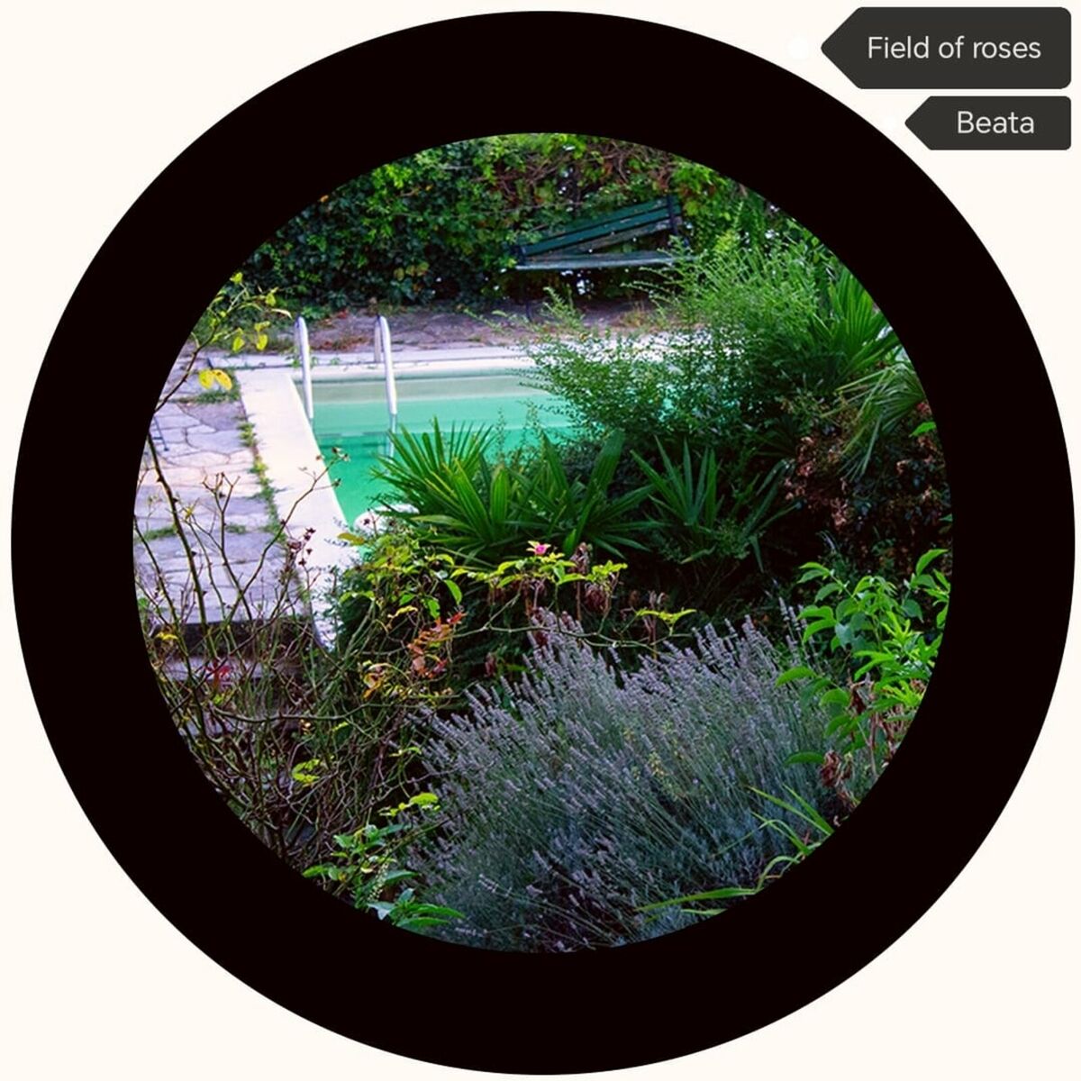 Album cover of Piscina