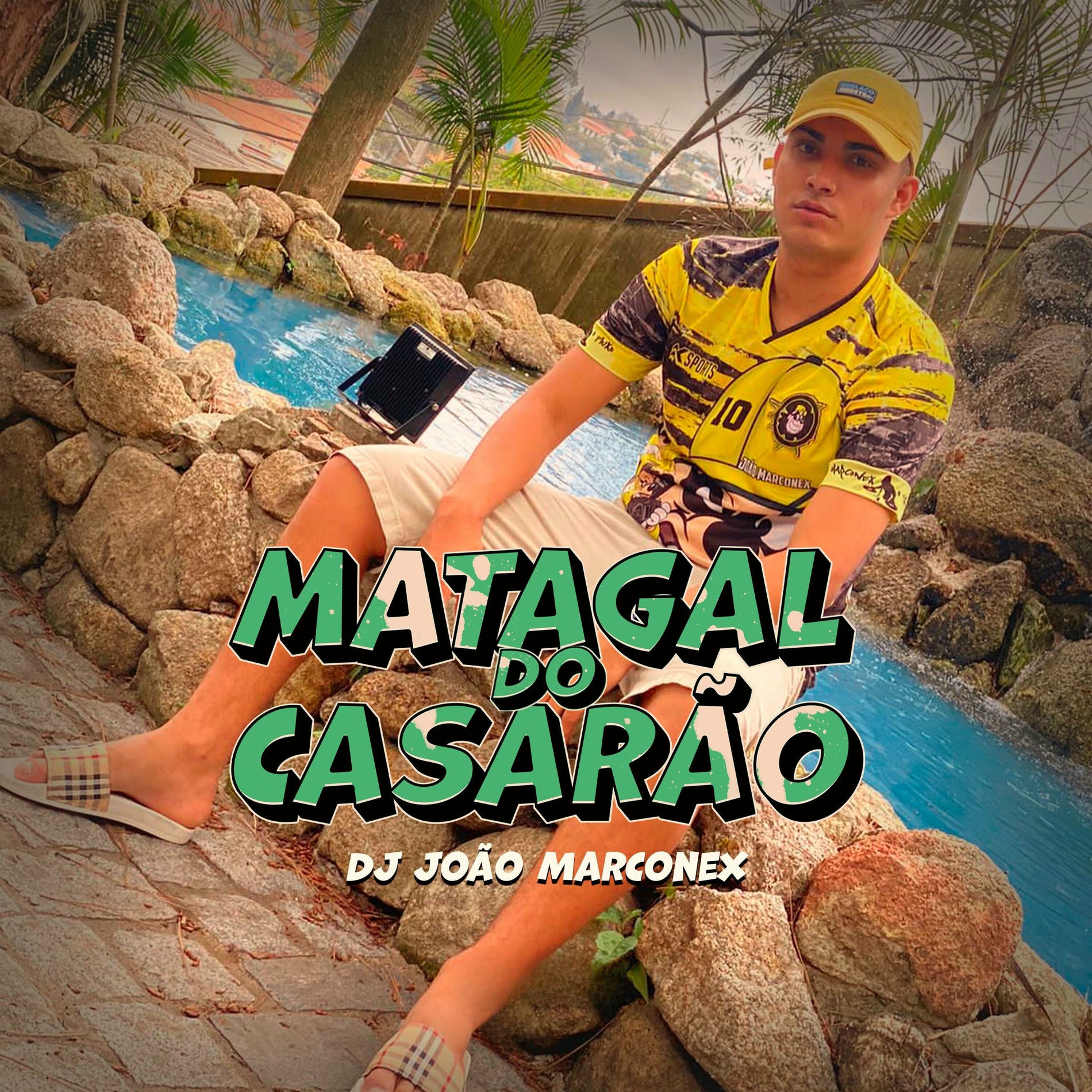 Album cover of Matagal do Casarão